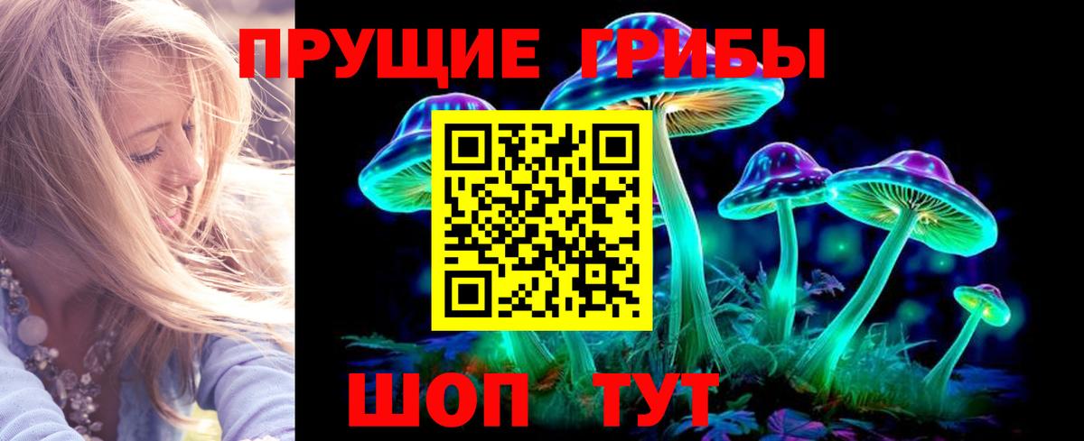 Псилоцибиновые грибы мухоморы  Вход с VPN  Псилоцибиновые грибы Cubensis  купить  сайты  Надым 